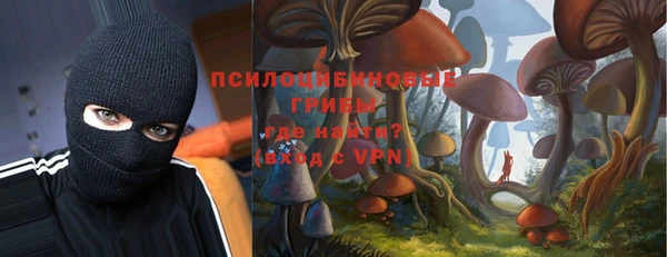 mdpv Горно-Алтайск