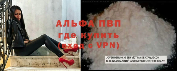 сатива Горнозаводск