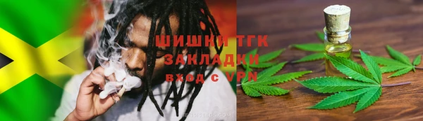 mdpv Горно-Алтайск