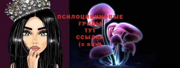 mdpv Горно-Алтайск