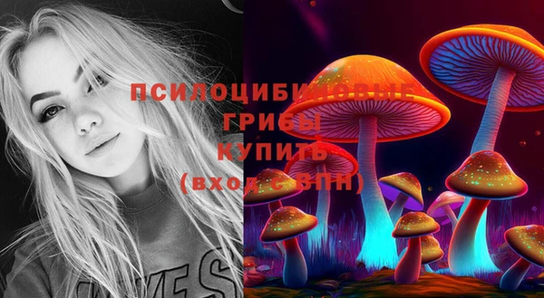 сатива Горнозаводск