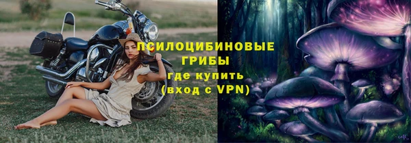 ALPHA-PVP Горняк