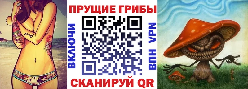Купить закладки  Барабинск  Галлюциногенные грибы прущие грибы 
